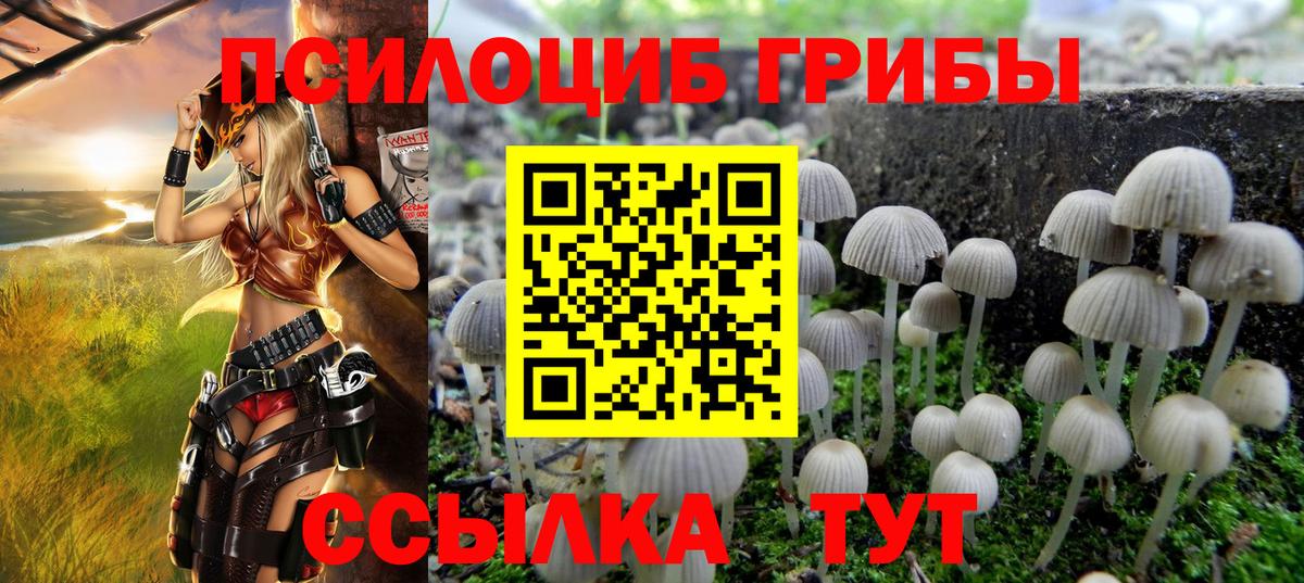 Псилоцибиновые грибы MAGIC MUSHROOMS Ленинск-Кузнецкий