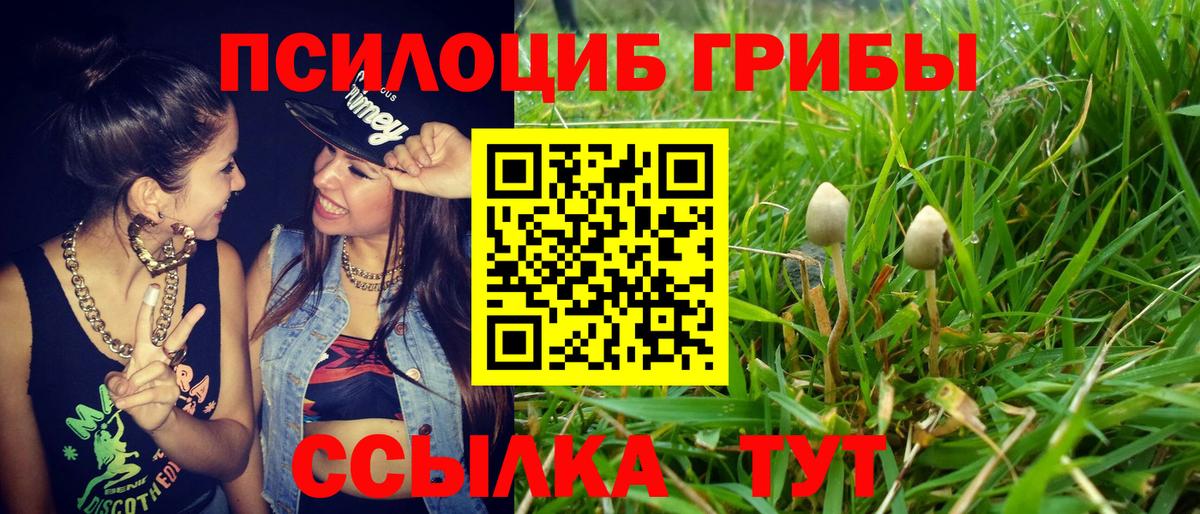 Ленинск-Кузнецкий  Галлюциногенные грибы мухоморы  Галлюциногенные грибы Psilocybe  Вход с VPN 